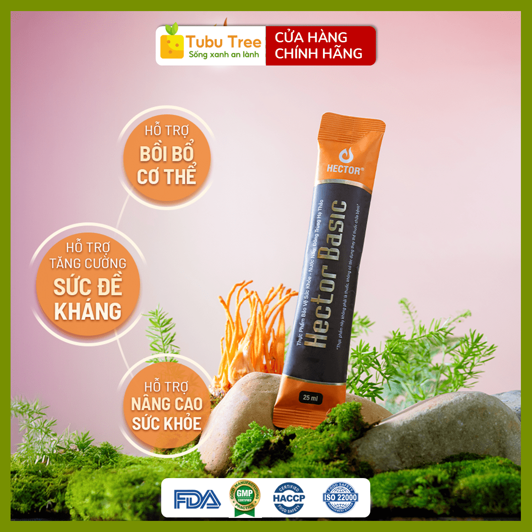 Nước Nấm Đông Trùng Hạ Thảo HECTOR BASIC Dạng Túi 25ml x 10 Gói — ảnh 1