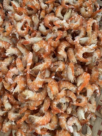 Product image - Tôm Chì Biển Khô