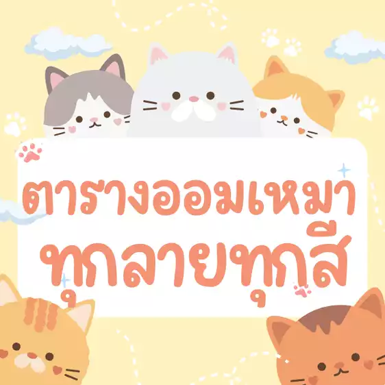 Product image - ★20★เหมาซื้อตารางออมทุกสีทุกลาย