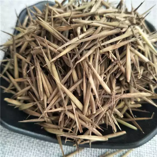 Product image - Hạt Giống Tre Moso