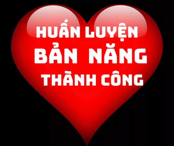Product image - COMBO HUẤN LUYỆN BẢN NĂNG THÀNH CÔNG 1, 2