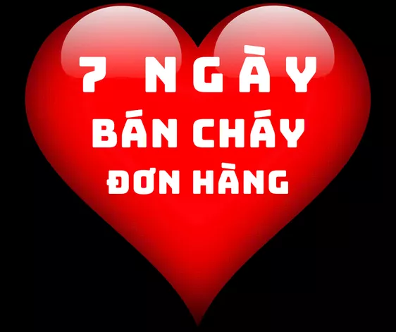 Product image - 7 NGÀY BÁN CHÁY ĐƠN HÀNG