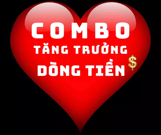 Product image - COMBO TĂNG TRƯỞNG DÒNG TIỀN