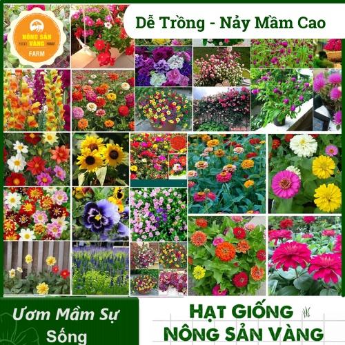 Product image - Hạt Hoa Tổng Hợp