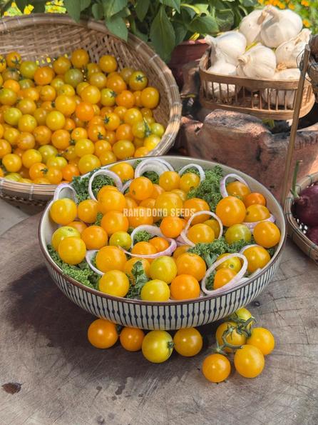 Product image - B24 - Hạt giống Cà Chua Bi Vàng F1