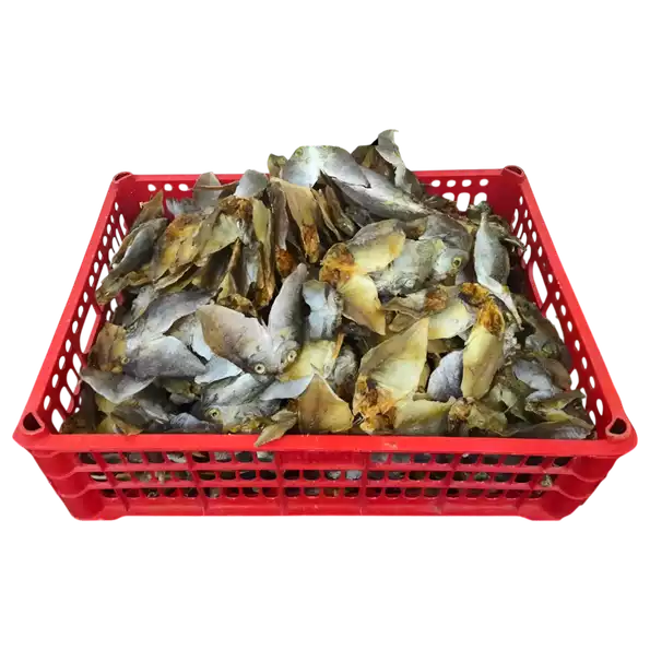 Product image - Dried Danggit (1st Class Unsalted) 1000g/1Kilo