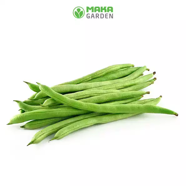 Product image - B57 - Hạt giống Đậu Cove Cao Sản F1 (Leo Giàn)