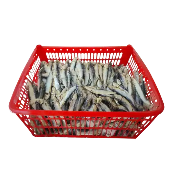 Product image - Tuyo Tabagak 1000g/1Kilo