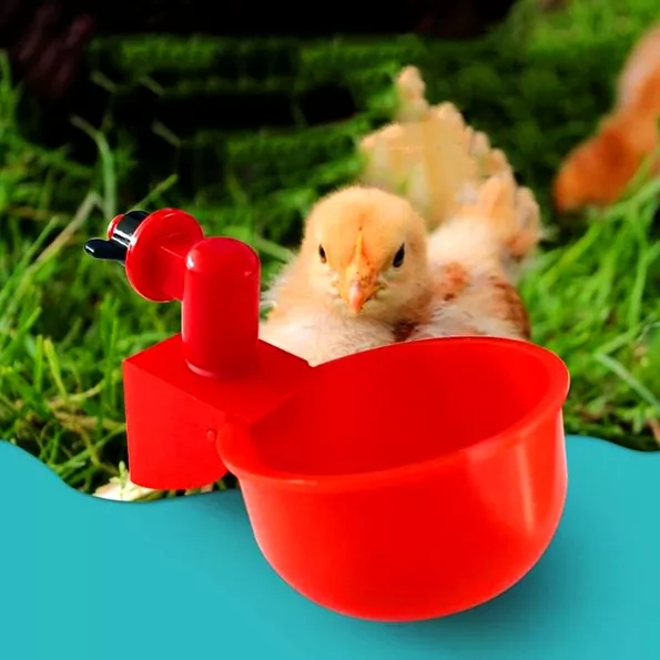 Product image - Máng Nước Tự Động