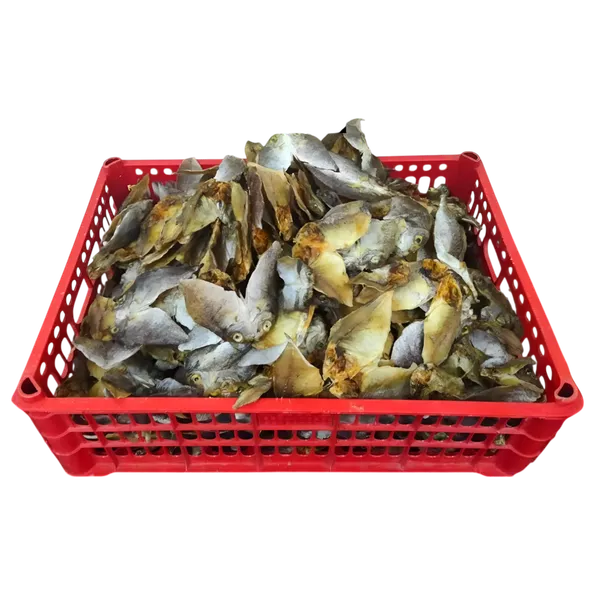 Product image - Dried Danggit (1st Class Unsalted) 1000g/1Kilo