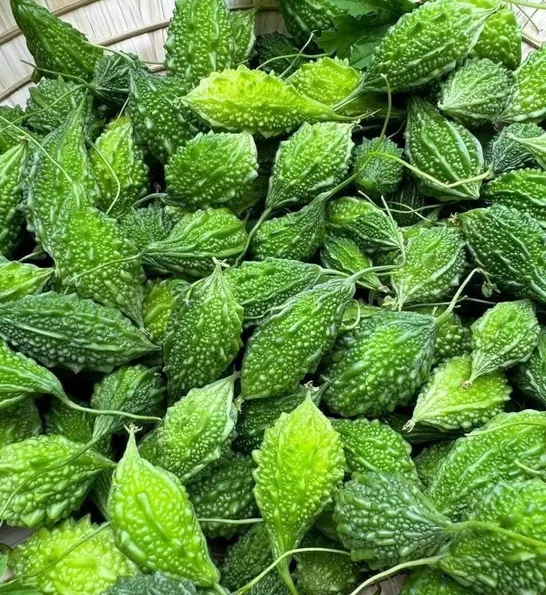 Product image - Hạt giống Mướp Đắng Rừng - Khổ Qua Rừng