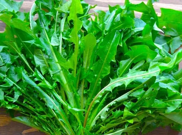 Product image - Hạt giống Bồ Công Anh Xanh Hoa Vàng