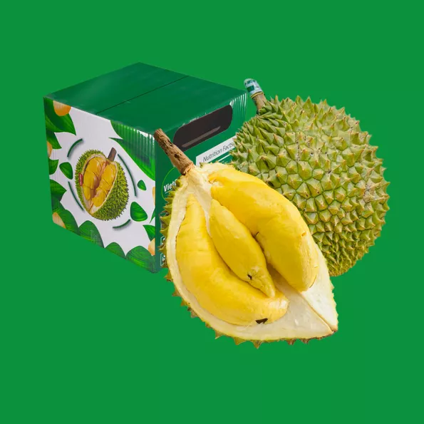 Product image - Trái - Sầu Riêng RM1 TU FARM ( GIỐNG MỚI )