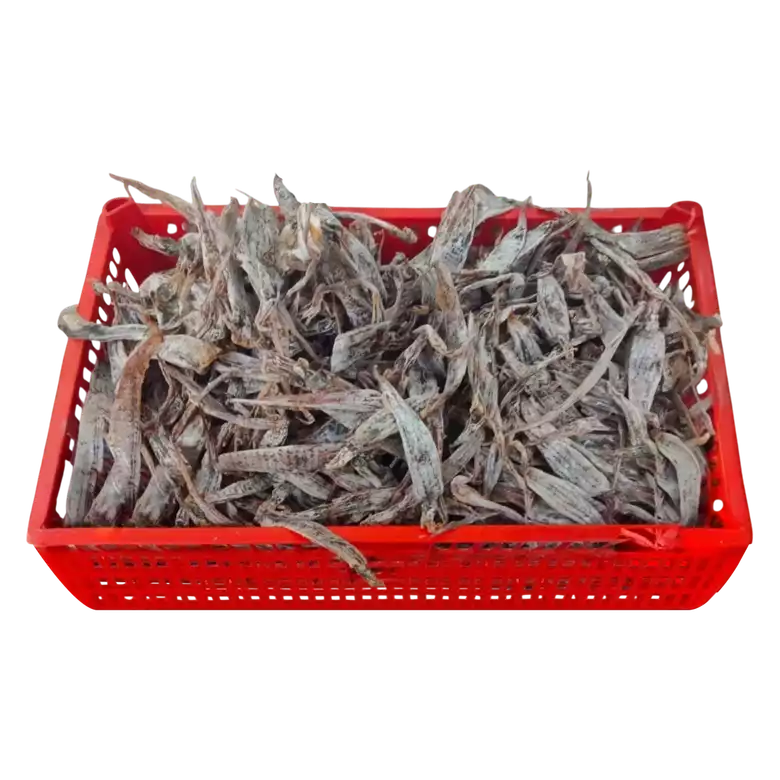 Product image - Pusit Tarorot 1000g/1Kilo