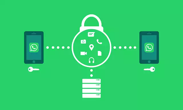 Is WhatsApp Web Safe for Business and Personal Use?