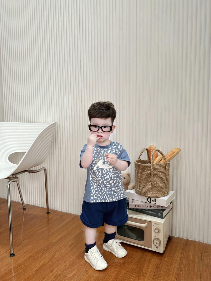 SB2294- bộ cộc tay da báo phối sườn, tay màu trơn