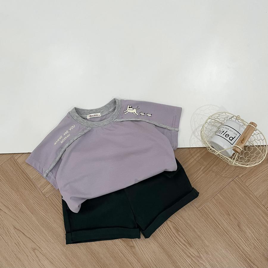 SB2386A- bọ polo mix màu tím