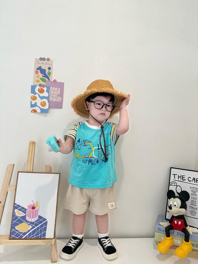 SB2341- bộ cộc tay phối tay kẻ, thân in 3 quả táo,...