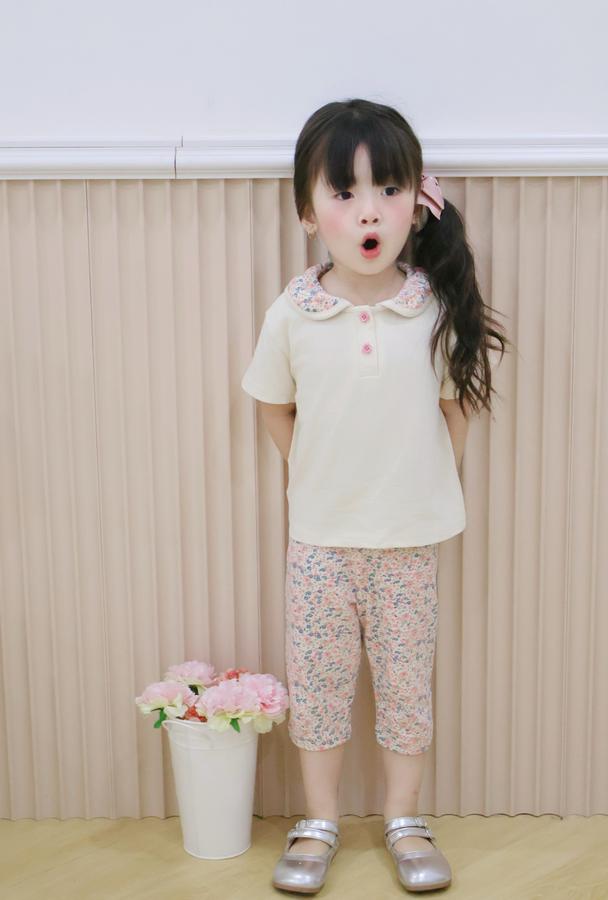SB2378- bộ cổ sen quần dài phối cổ quần hoa