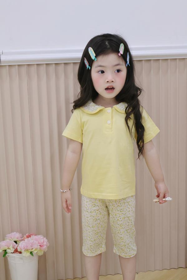 SB2378- bộ cổ sen quần dài phối cổ quần hoa