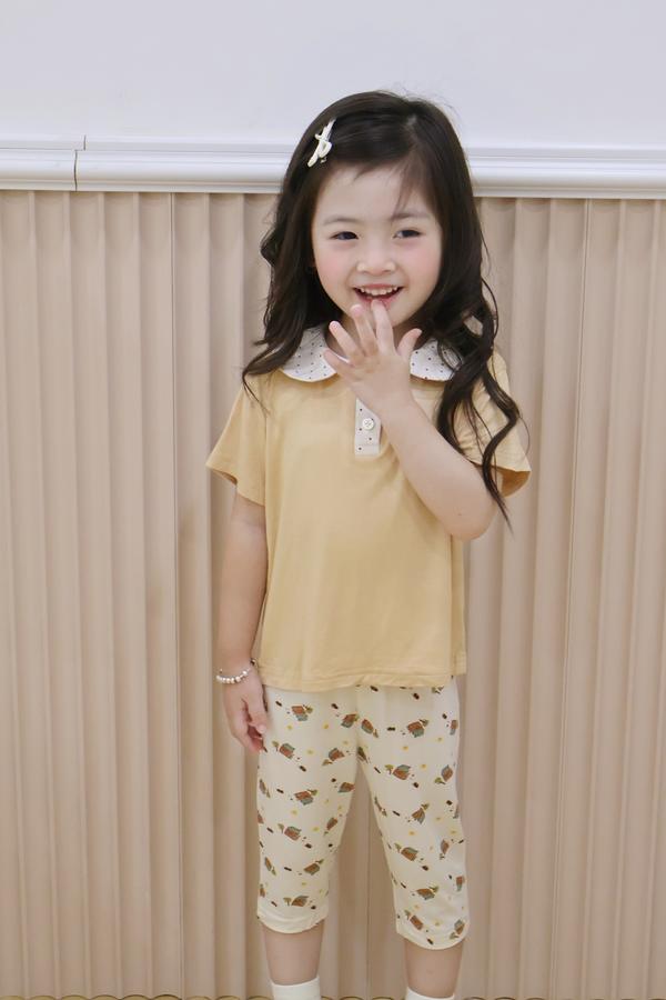 SB2392- bộ cổ sen quần dài in ngôi nhà. cổ bi