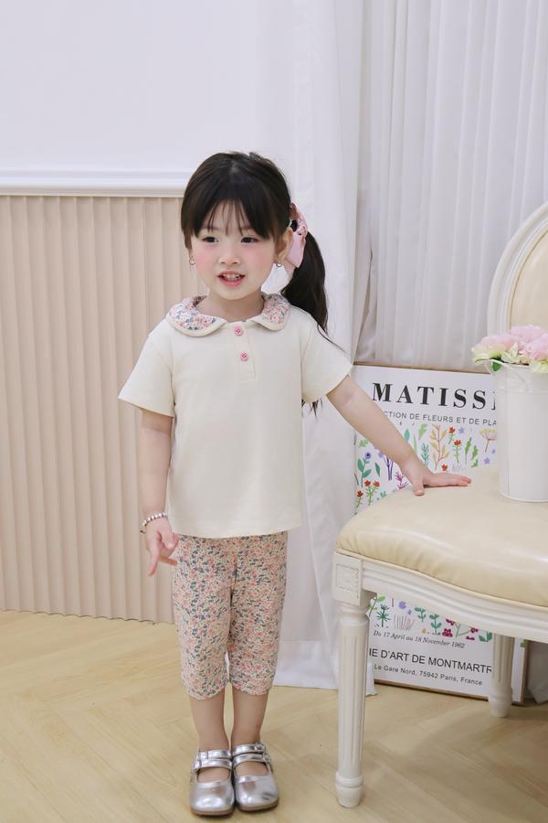 SB2378- bộ cổ sen quần dài phối cổ quần hoa