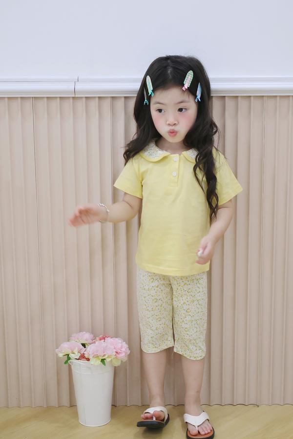SB2378- bộ cổ sen quần dài phối cổ quần hoa