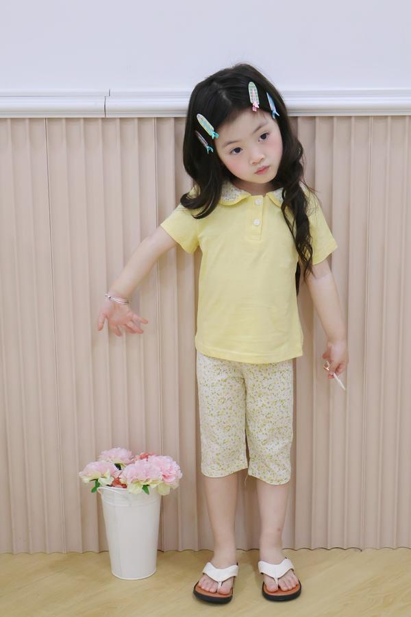 SB2378- bộ cổ sen quần dài phối cổ quần hoa