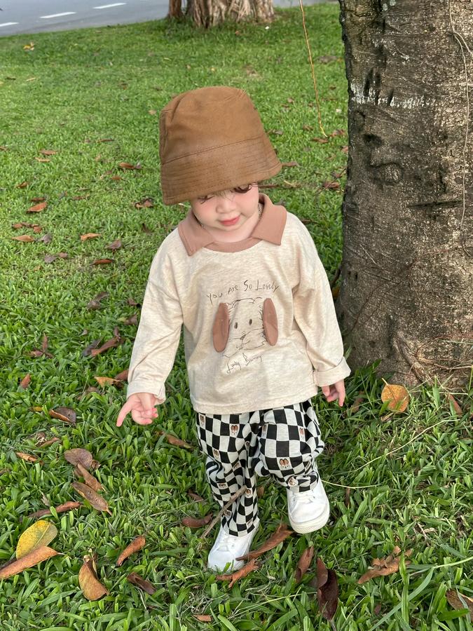 SB2391- bộ dài tay phối cổ in cũn đính tai, in chữ you are so lovely