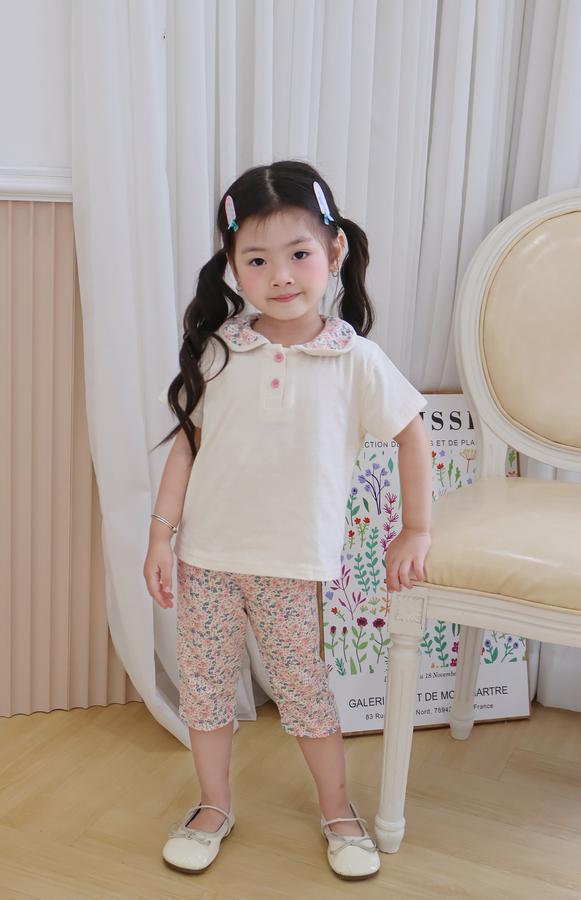 SB2378- bộ cổ sen quần dài phối cổ quần hoa