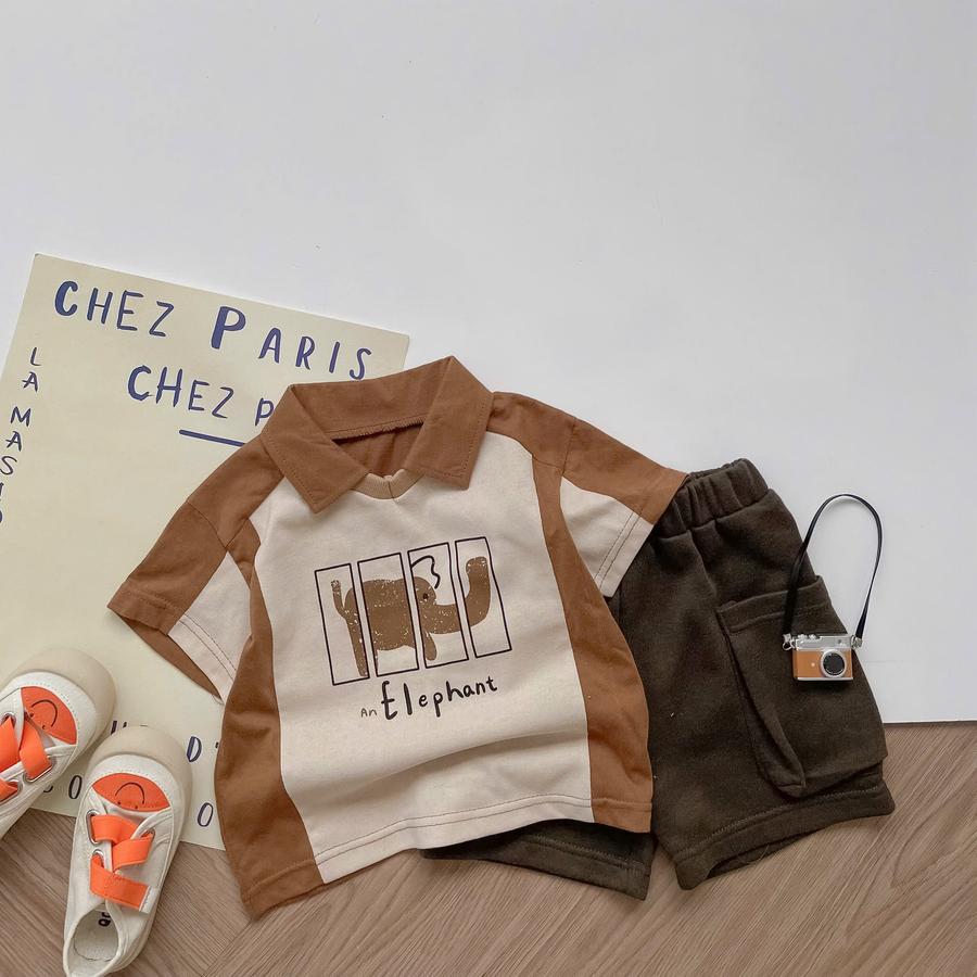 SB2386A- bọ polo mix màu bevoi