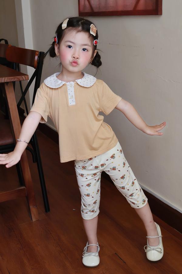 SB2392- bộ cổ sen quần dài in ngôi nhà. cổ bi