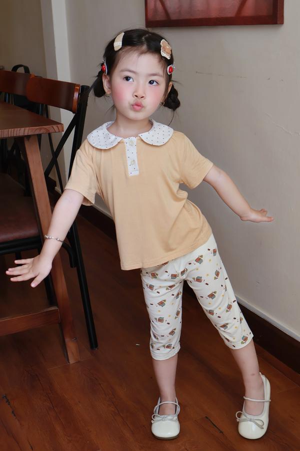 SB2392- bộ cổ sen quần dài in ngôi nhà. cổ bi