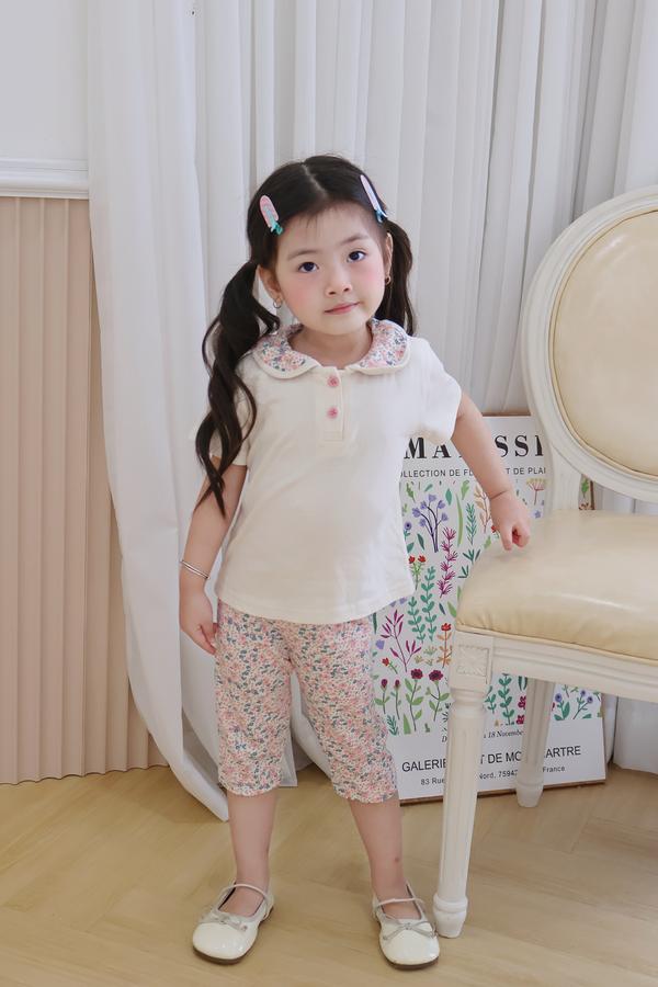 SB2378- bộ cổ sen quần dài phối cổ quần hoa