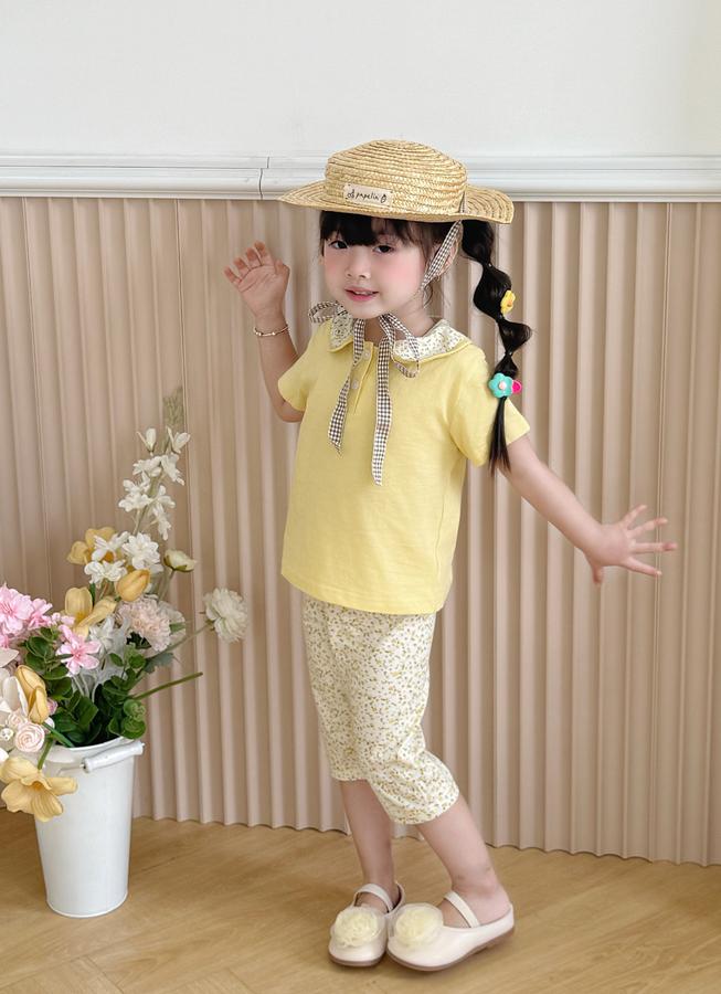 SB2378- bộ cổ sen quần dài phối cổ quần hoa