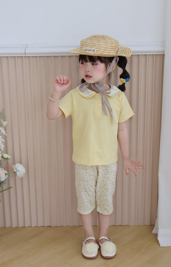 SB2378- bộ cổ sen quần dài phối cổ quần hoa