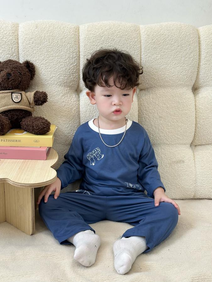 SB2148- bộ dài tay in thú quần và áo