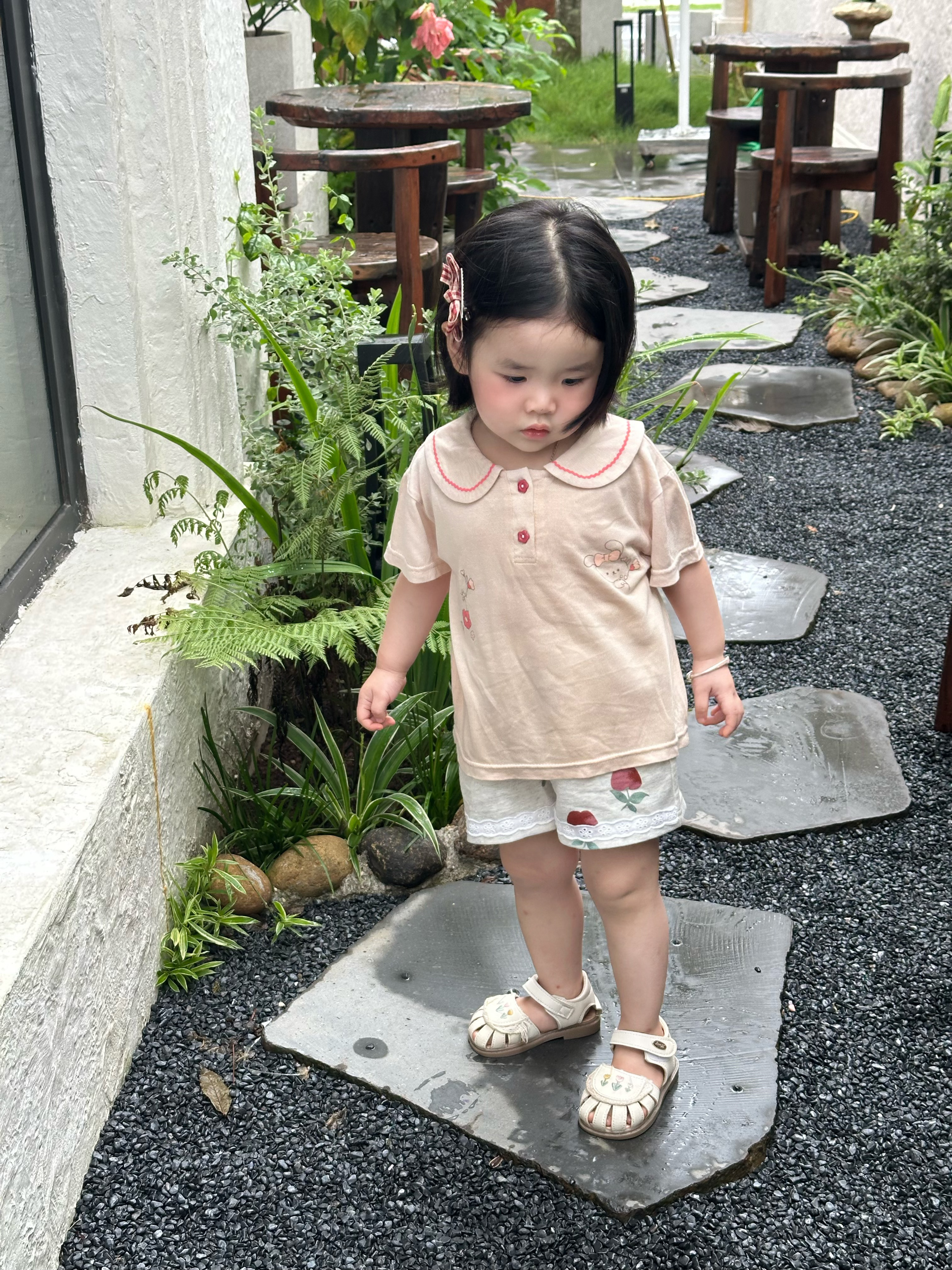 SB2444- bộ cổ sen phối ren in thỏ, hoa quần đùi