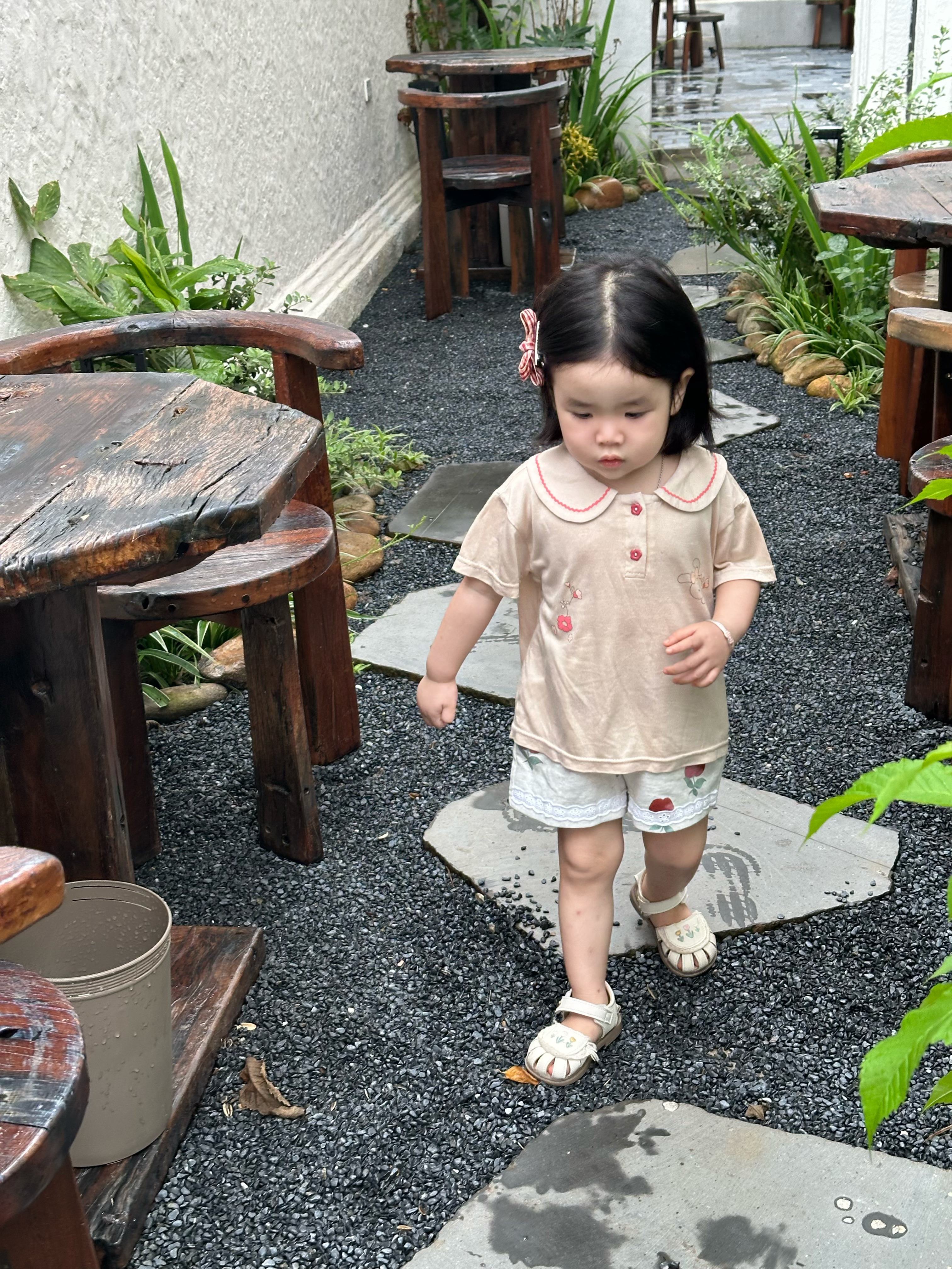 SB2444- bộ cổ sen phối ren in thỏ, hoa quần đùi