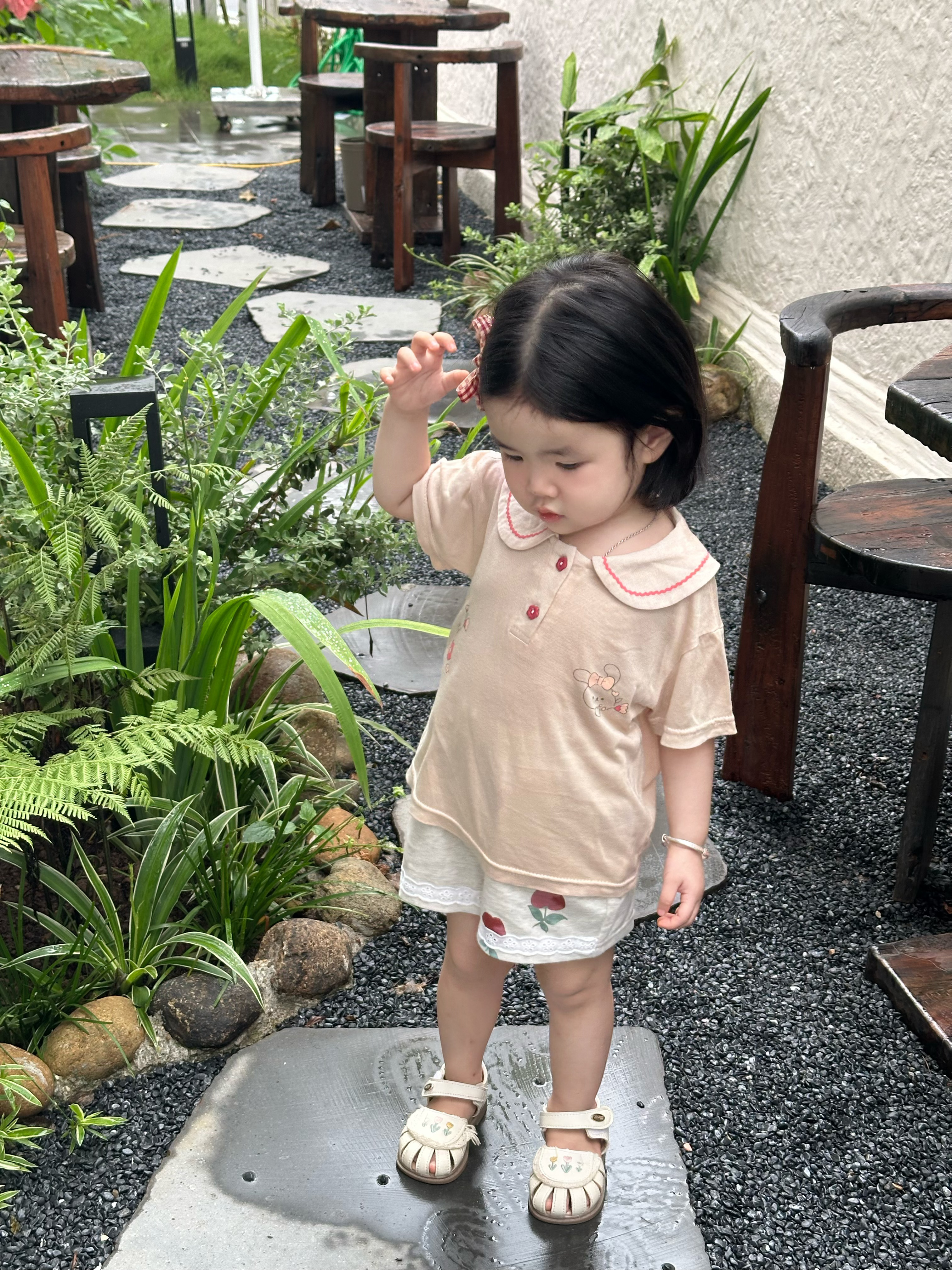 SB2444- bộ cổ sen phối ren in thỏ, hoa quần đùi