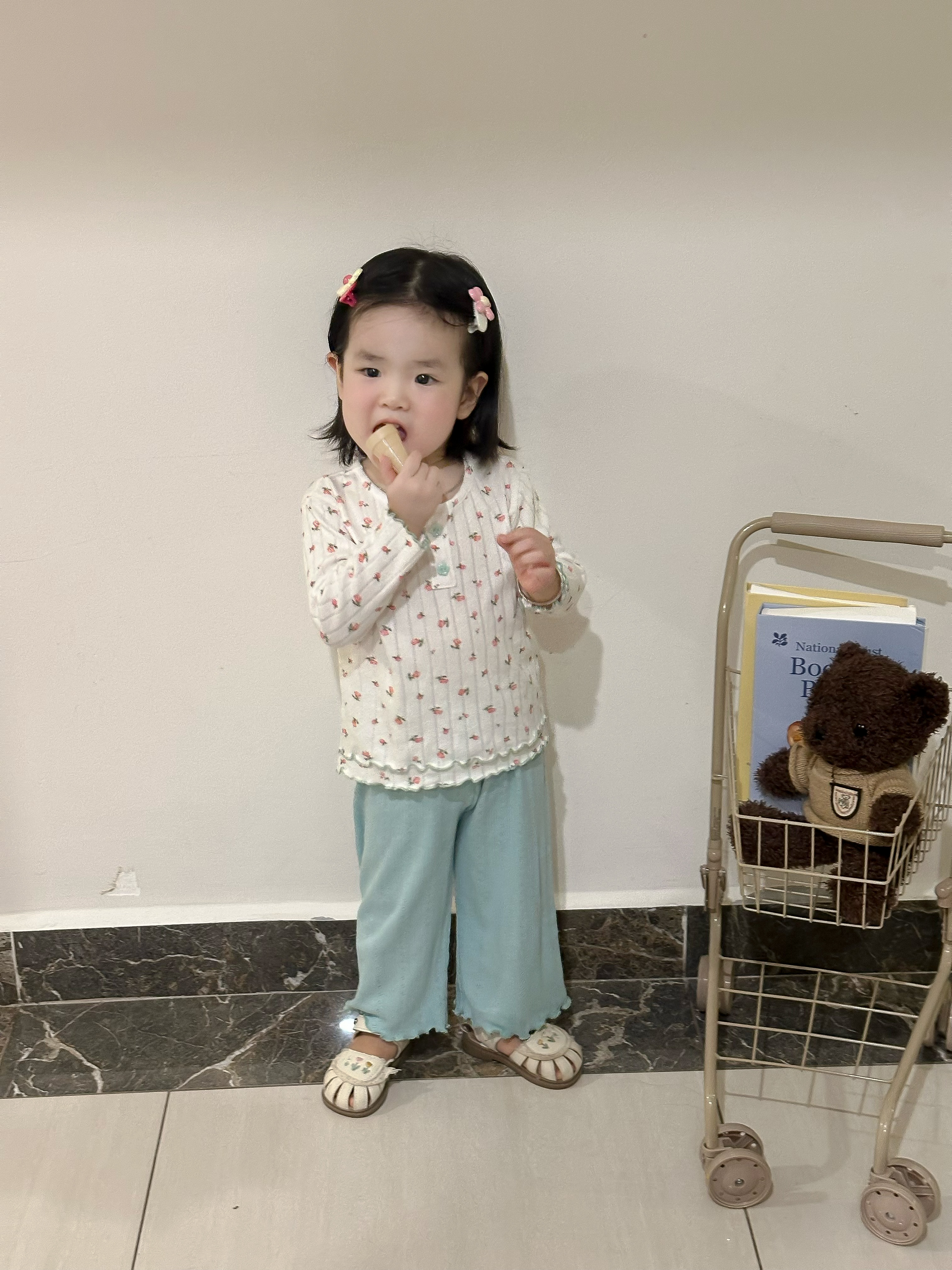 Bộ dài tay bé gái họa tiết hoa bèo gấu tay, vạt áo phối quần trơn