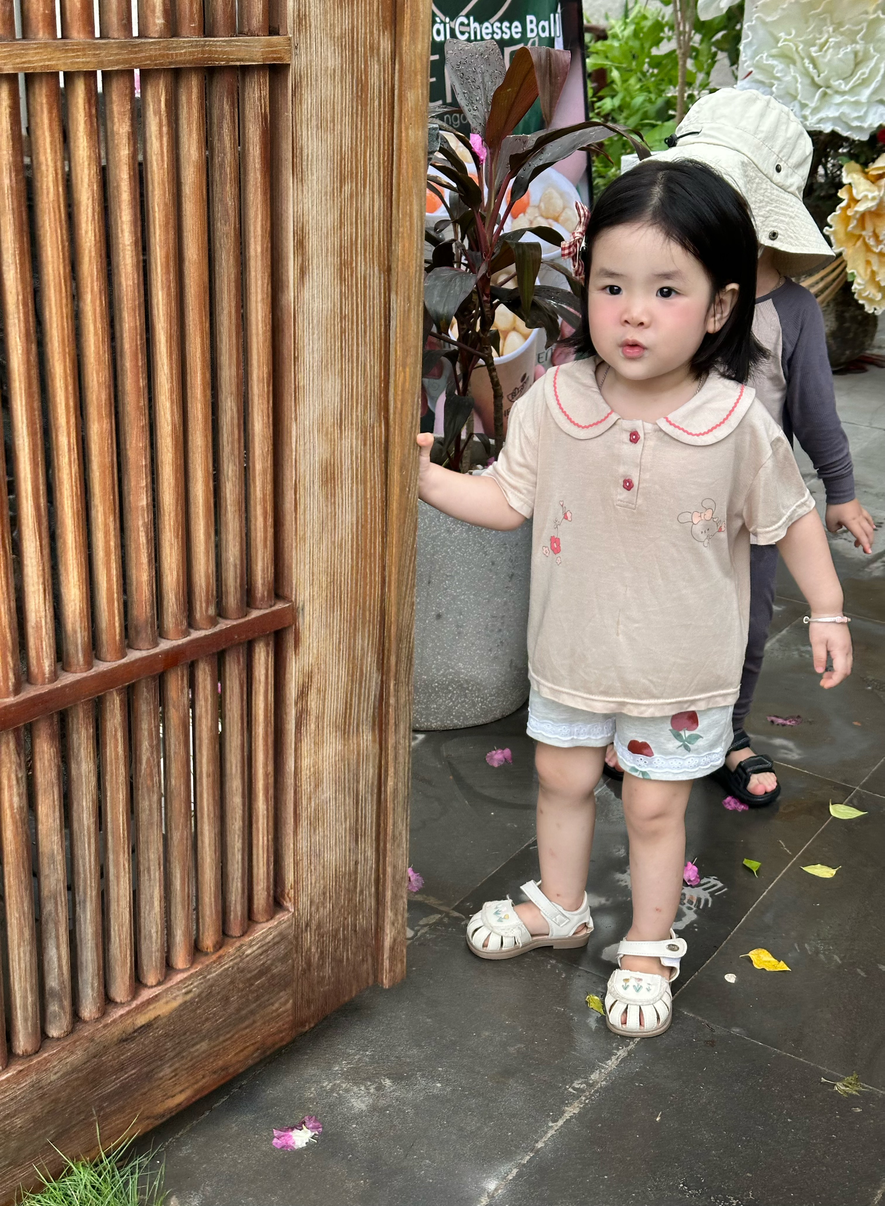 SB2444- bộ cổ sen phối ren in thỏ, hoa quần đùi