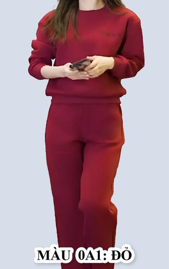 Product image - [ MÃ 0A ] Đồ bộ dài mã A
