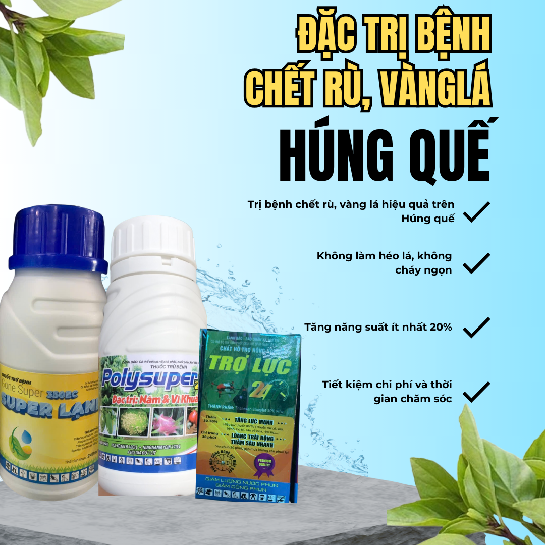 Bộ Thuốc Trị Chết Rù Vàng Lá Trên Cây Húng