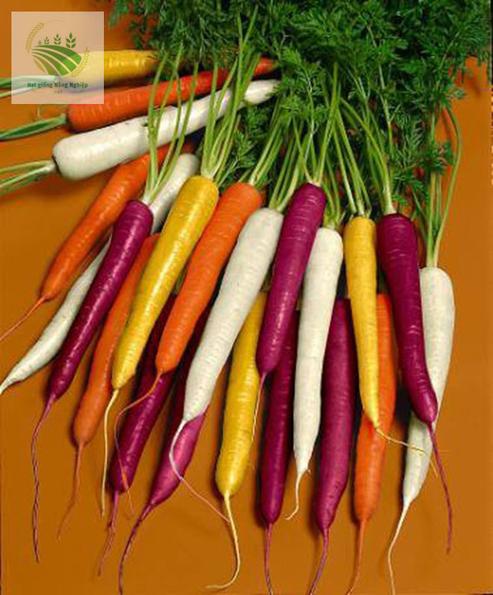 Product image - Hạt giống Cà Rốt Cầu Vồng