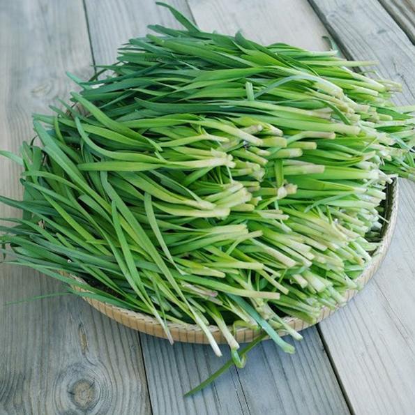 Product image - Hạt giống Hẹ Lá