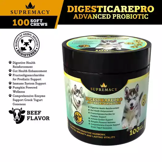 Product image - Digesticarepro Advanced Probiotic for Dogs