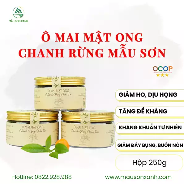 Product image - Ô mai Mật ong Chanh rừng Mẫu Sơn