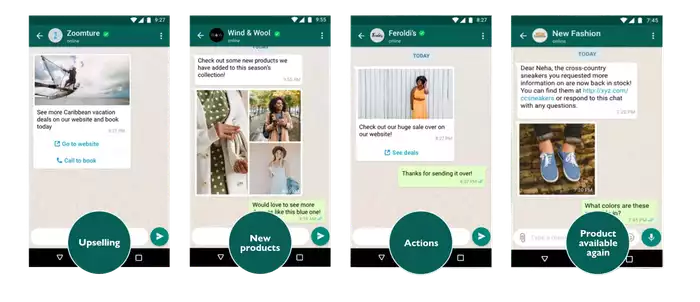 What is WhatsApp Newsletter Software?