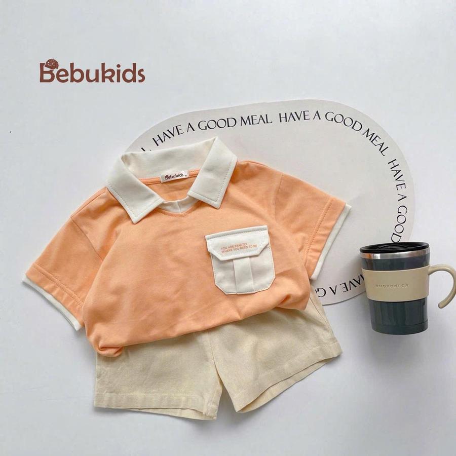 SB2116-polo cổ v túi ngực in chữ cam 1